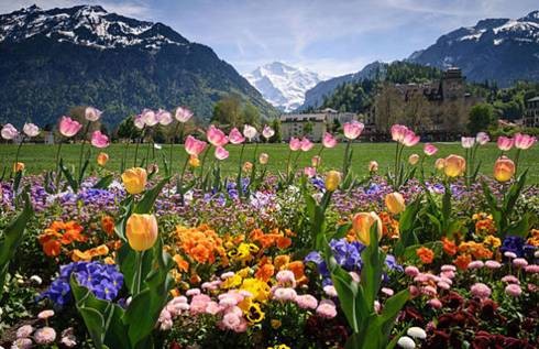 Les érudites de l’islam (partie 2 de 2)